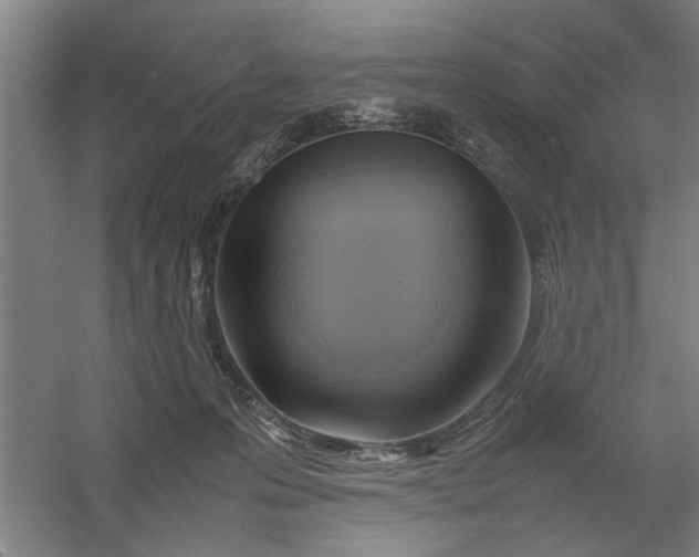 X0000054430223200508192132