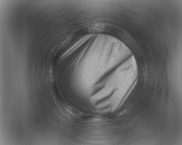 X0000054430224200508192132