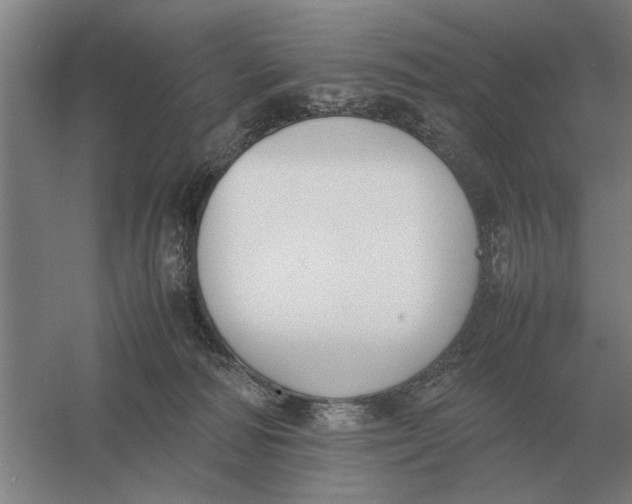 X0000054430226200508192132