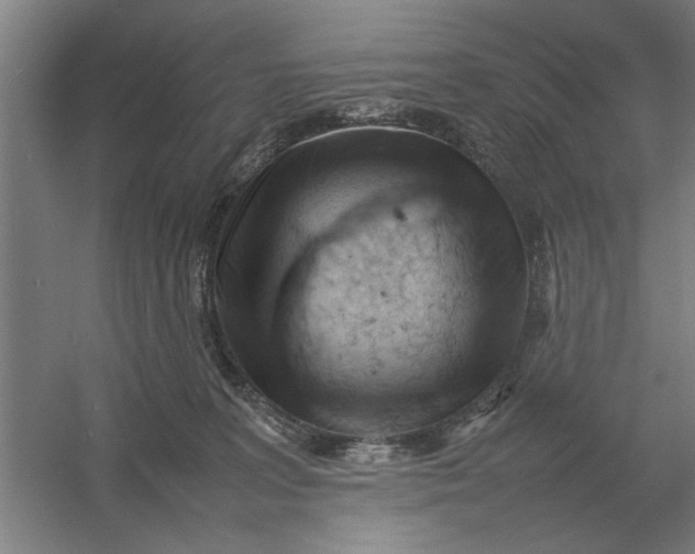 X0000054430227200508192132