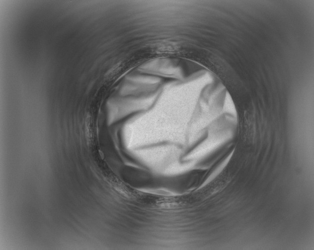 X0000054430228200508192132