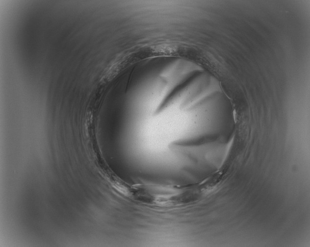 X0000054430229200508192132