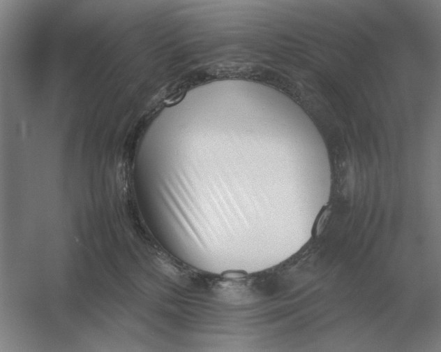 X0000054430232200508192132