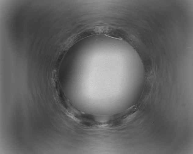 X0000054430233200508192132