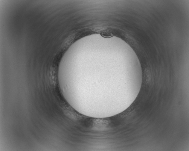 X0000054430234200508192132