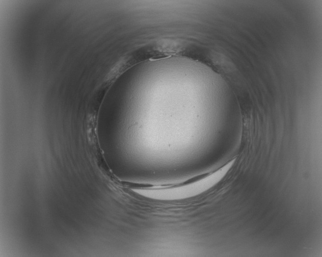 X0000054430237200508192132