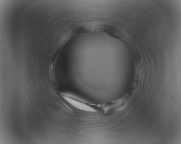 X0000054430239200508192132