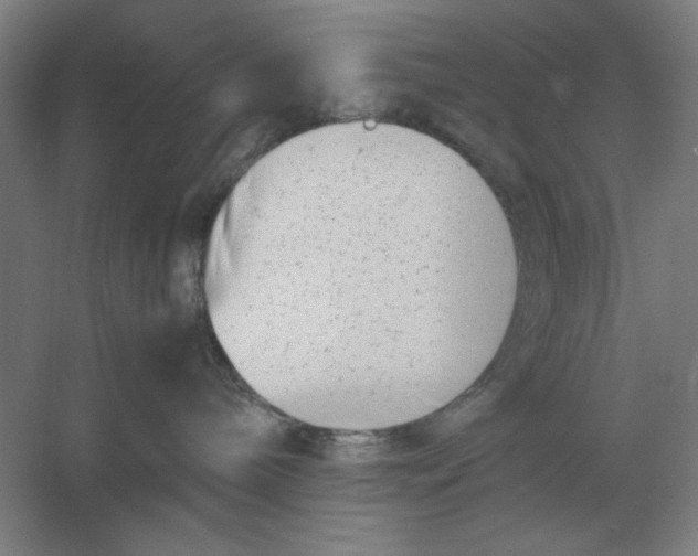 X0000054430240200508192132