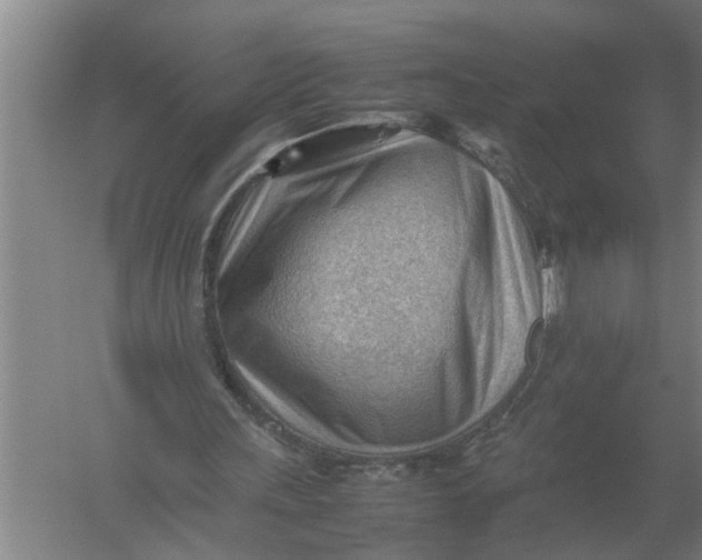 X0000054430243200508192131