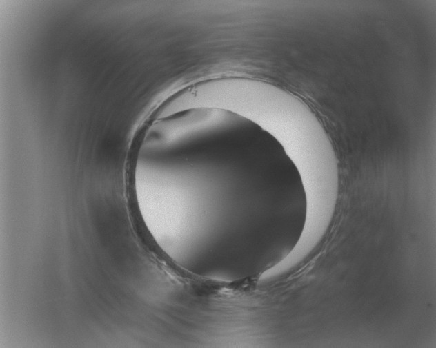 X0000054430244200508192131