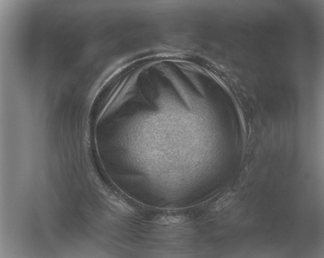 X0000054430247200508192131