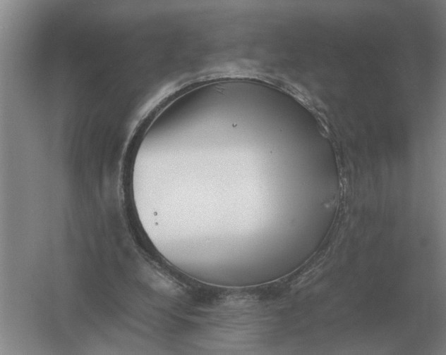 X0000054430248200508192131