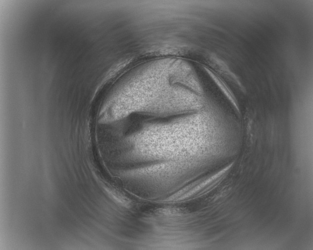 X0000054430250200508192131