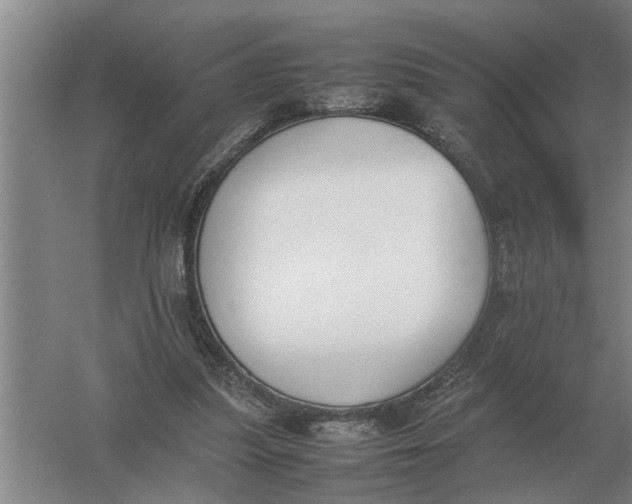 X0000054430251200508192131