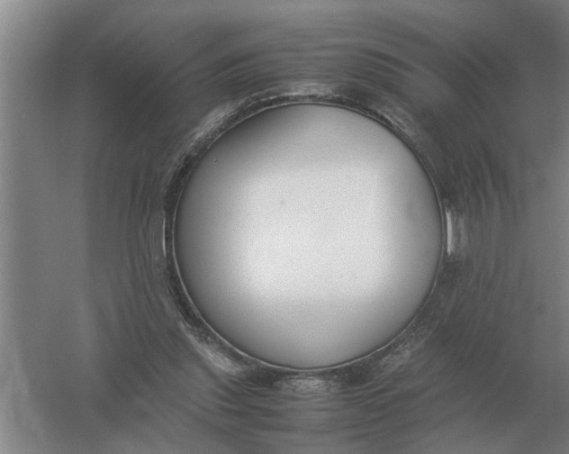 X0000054430253200508192131