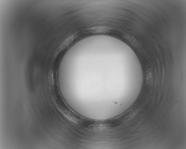 X0000054430254200508192131