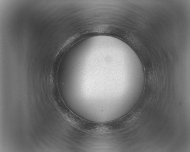 X0000054430256200508192131