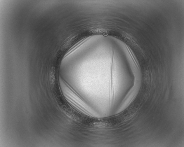 X0000054430259200508192131