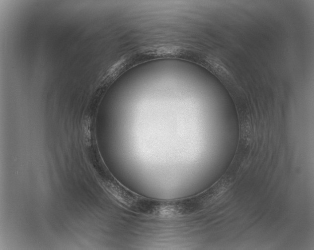 X0000054430264200508192131