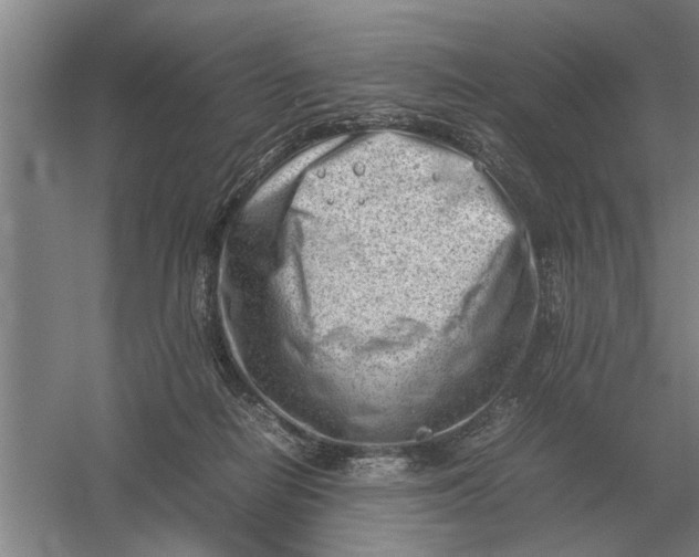 X0000054430266200508192131