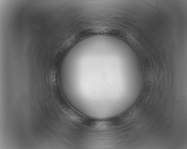 X0000054430268200508192131