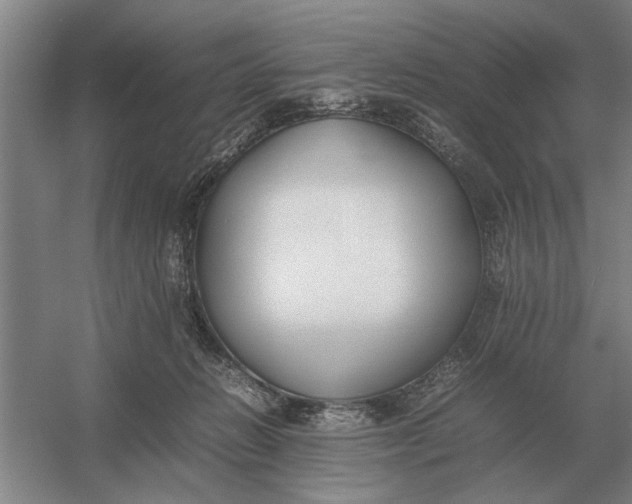 X0000054430270200508192131