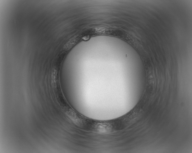 X0000054430275200508192131