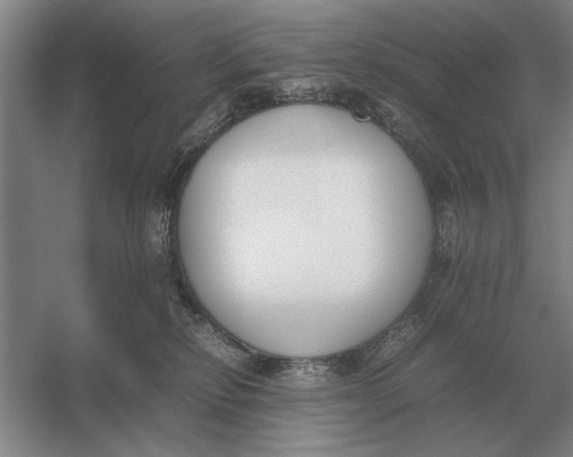 X0000054430278200508192131