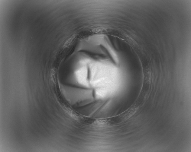 X0000054430280200508192131