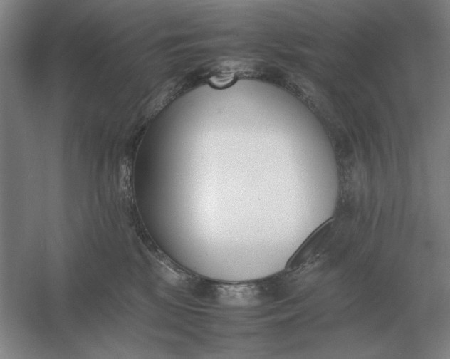 X0000054430281200508192131