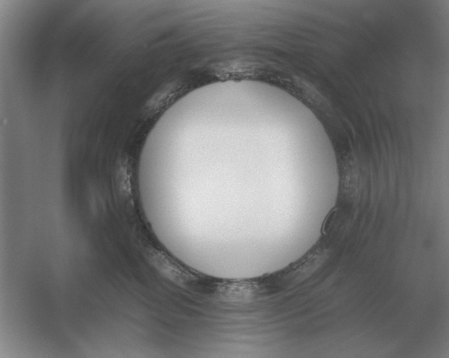 X0000054430282200508192131