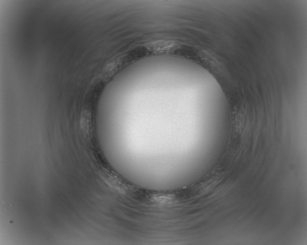 X0000054430283200508192131