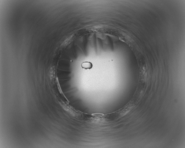 X0000054430284200508192132