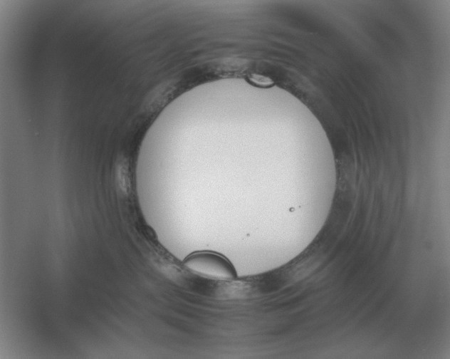 X0000054430287200508192132