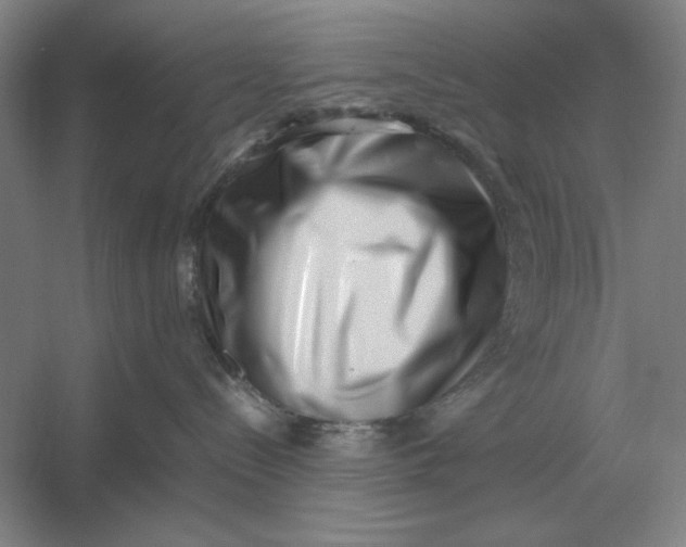 X0000054430288200508192132