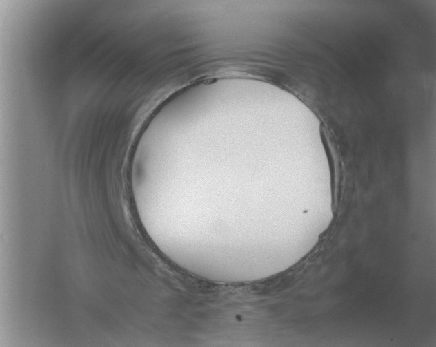 X0000054430289200508192131