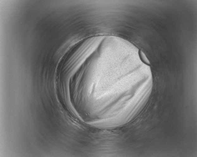 X0000054430290200508192131