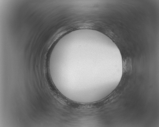 X0000054430291200508192131