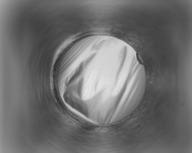 X0000054430294200508192131