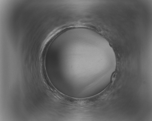 X0000054430295200508192131