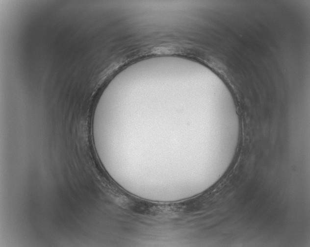 X0000054430297200508192131