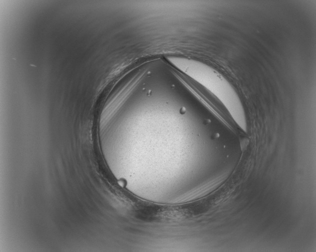 X0000054430299200508192131