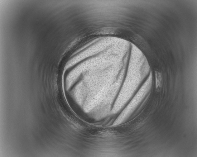 X0000054430300200508192131