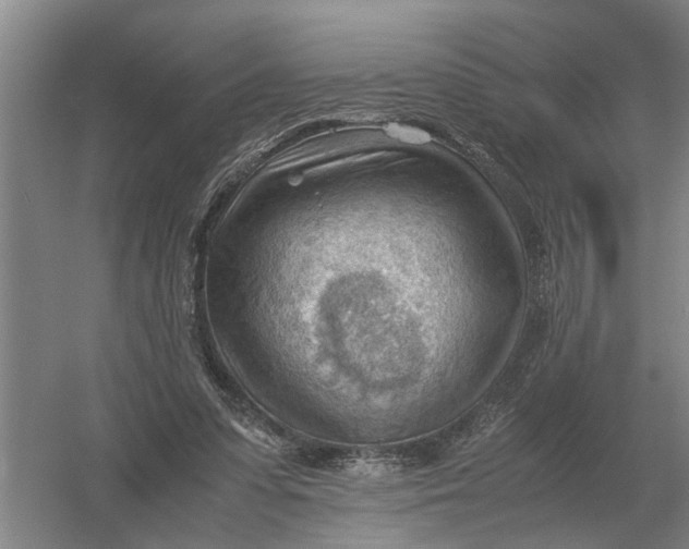 X0000054430303200508192131