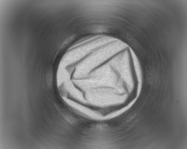 X0000054430304200508192131