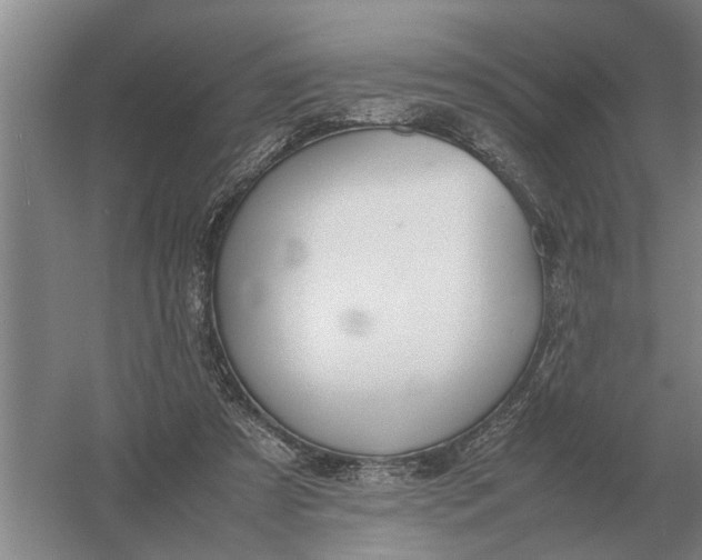 X0000054430305200508192130