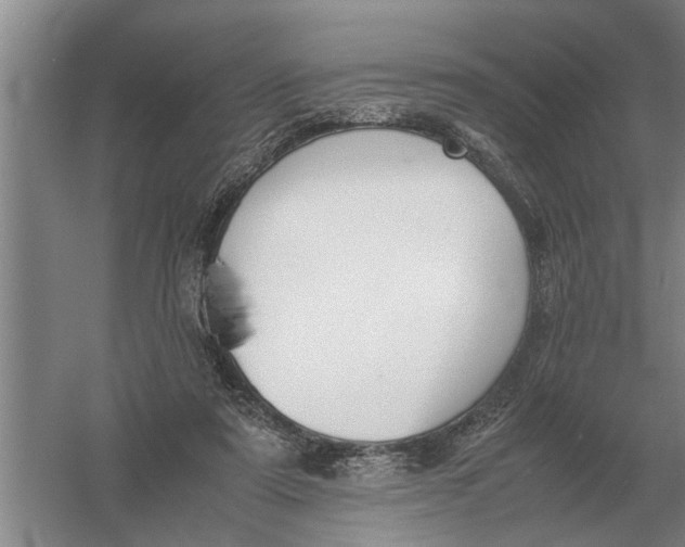 X0000054430307200508192130