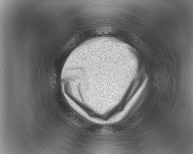 X0000054430308200508192130