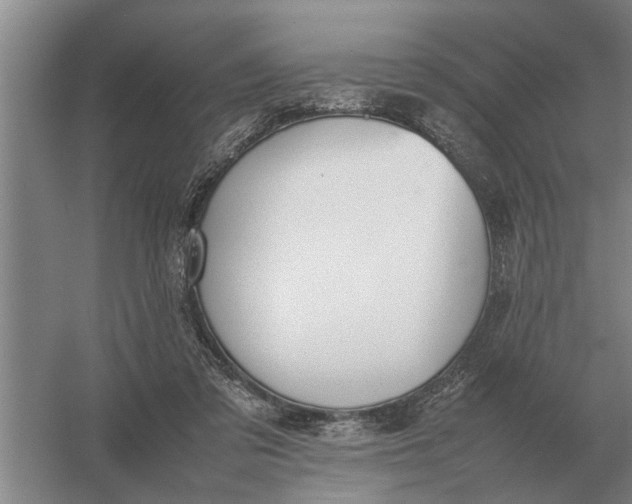 X0000054430309200508192130