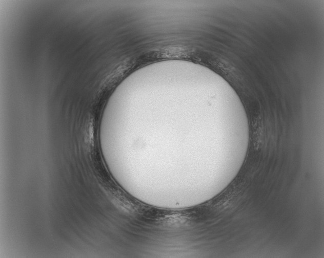 X0000054430310200508192130